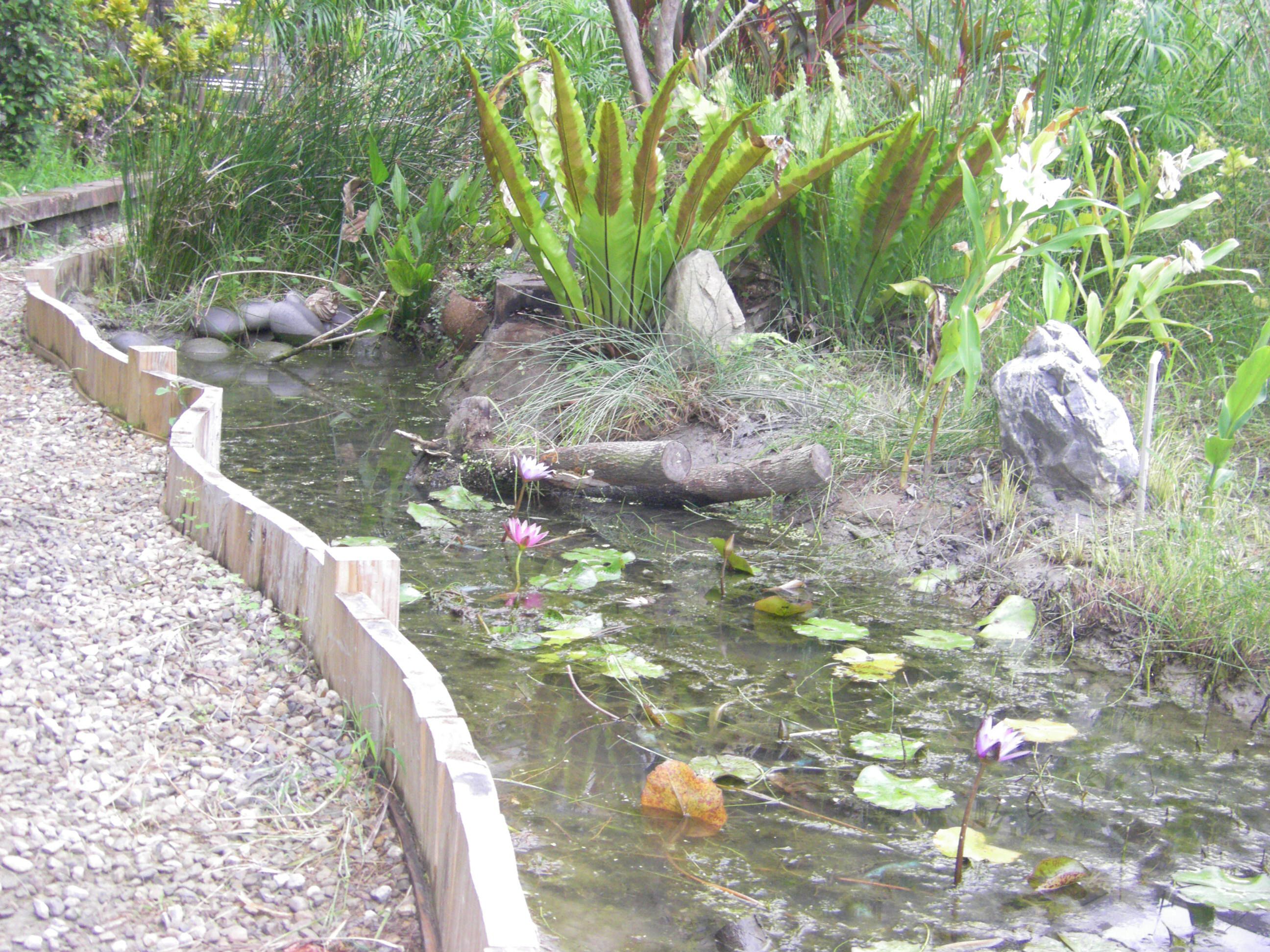 05.jpg